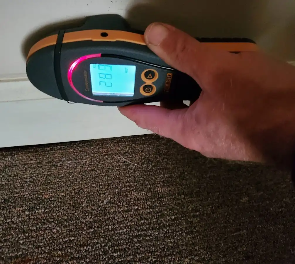 Moisture detection at baseboard during Mold Inspection & Testing in Caln